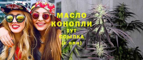 таблы Бородино