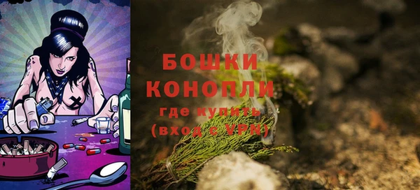 таблы Бородино