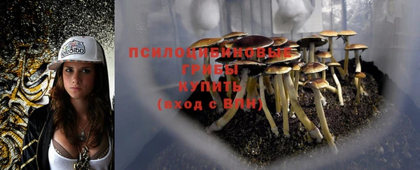 mdpv Верхний Тагил