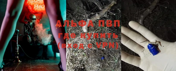 таблы Бородино