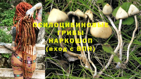 mdpv Верхний Тагил